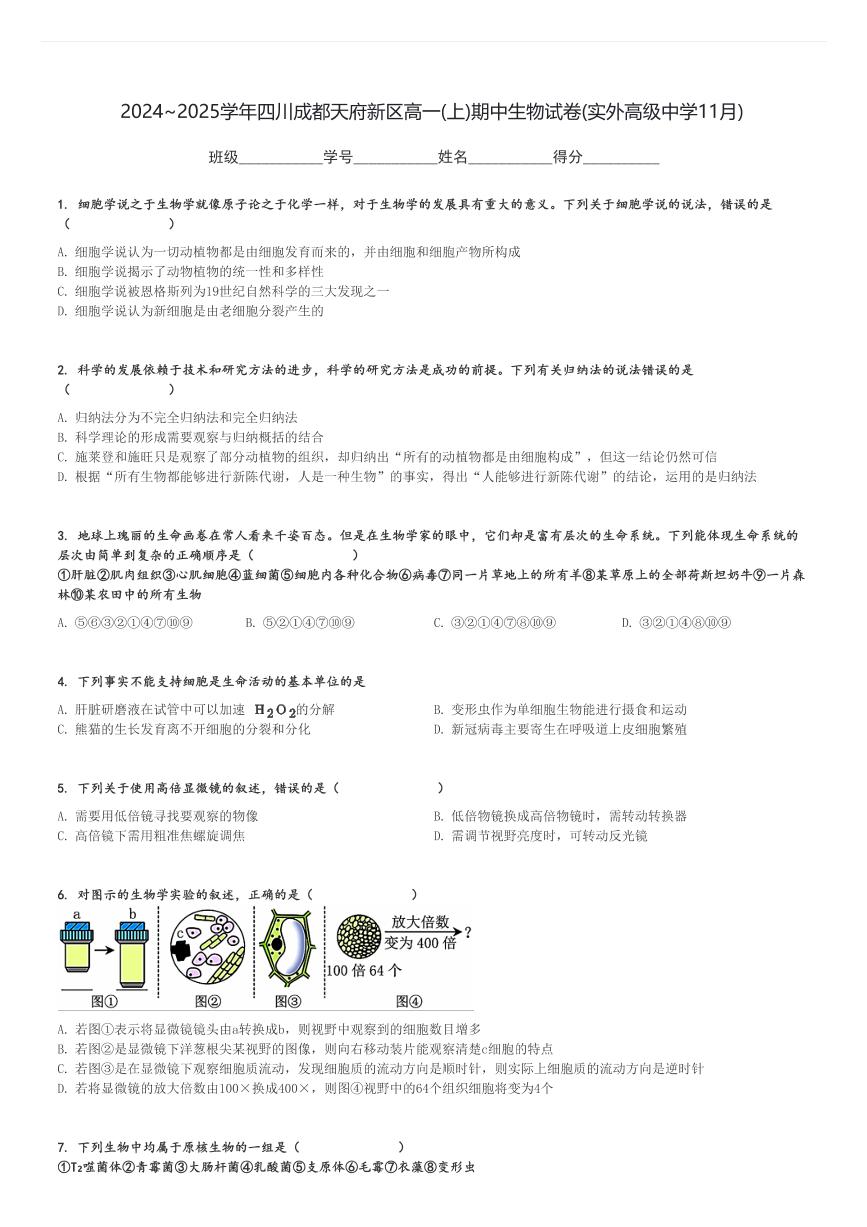 2024～2025学年四川成都天府新区高一(上)期中生物试卷(实外高级中学11月)[原题+解析]