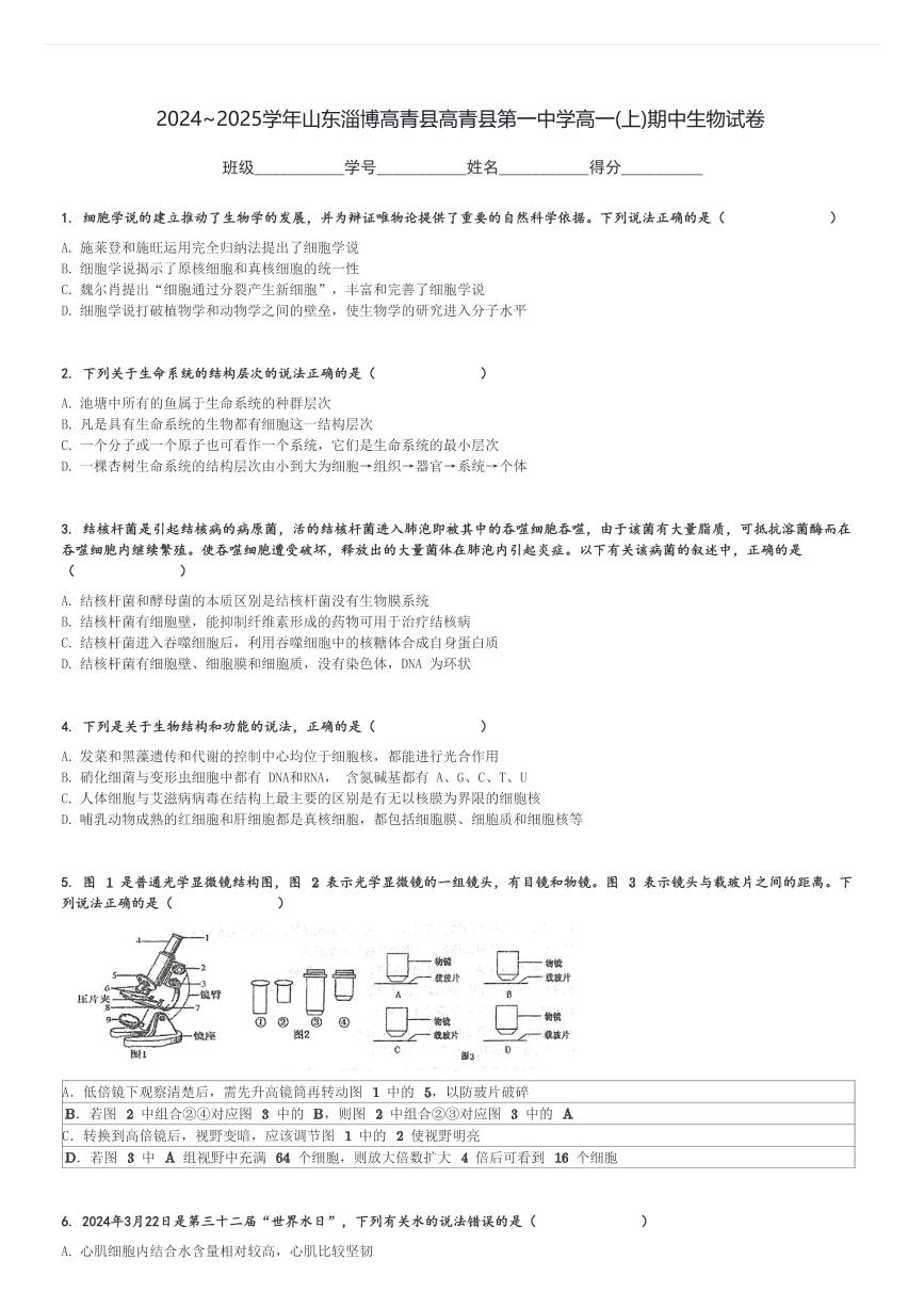 2024～2025学年山东淄博高青县高青县第一中学高一(上)期中生物试卷[原题+解析]