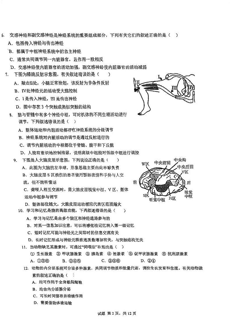 2024北京人大附中高二(上)期中真题生物试卷第2页