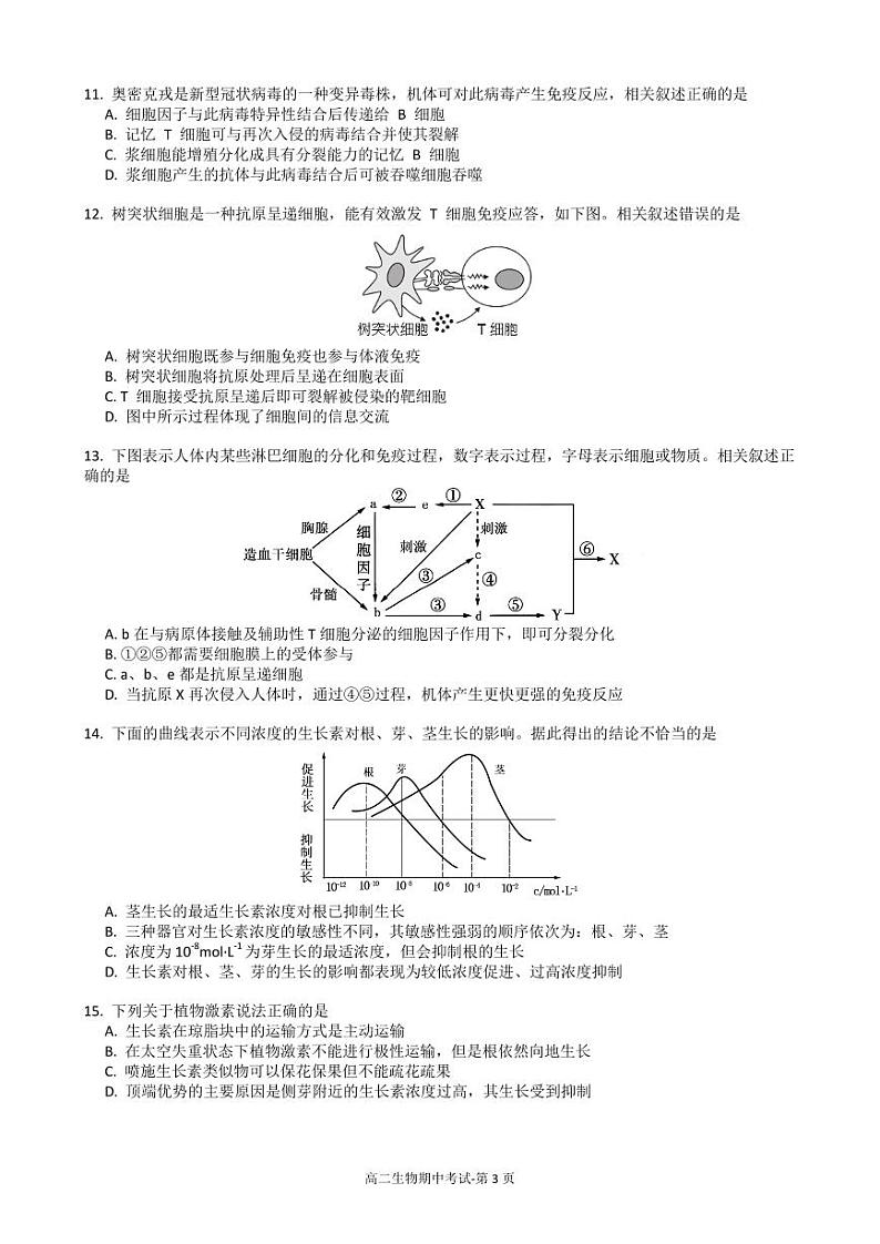北京市日坛中学2024-2025学年高二上学期11月期中考试生物试卷第3页