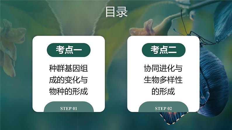 第十五课时《生物的进化Ⅱ》(课件版权归属“一起课件”,只供个人使用,请勿私自传播,违者必究)第3页