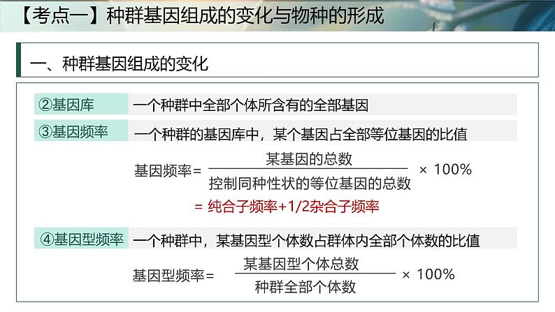 第十五课时《生物的进化Ⅱ》(课件版权归属“一起课件”,只供个人使用,请勿私自传播,违者必究)第5页