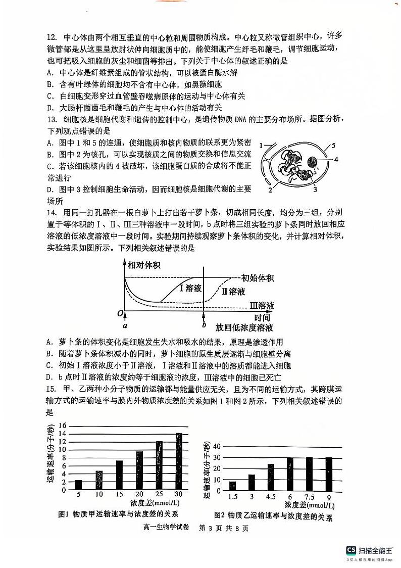 辽宁省大连市滨城高中联盟2024-2025学年高一上学期期中联考生物试题03