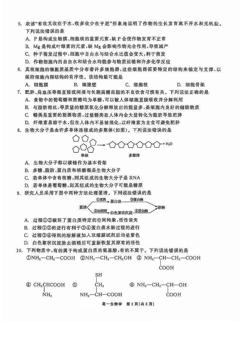 辽宁省普通高中2024-2025学年高一上学期11月期中考试生物试题02