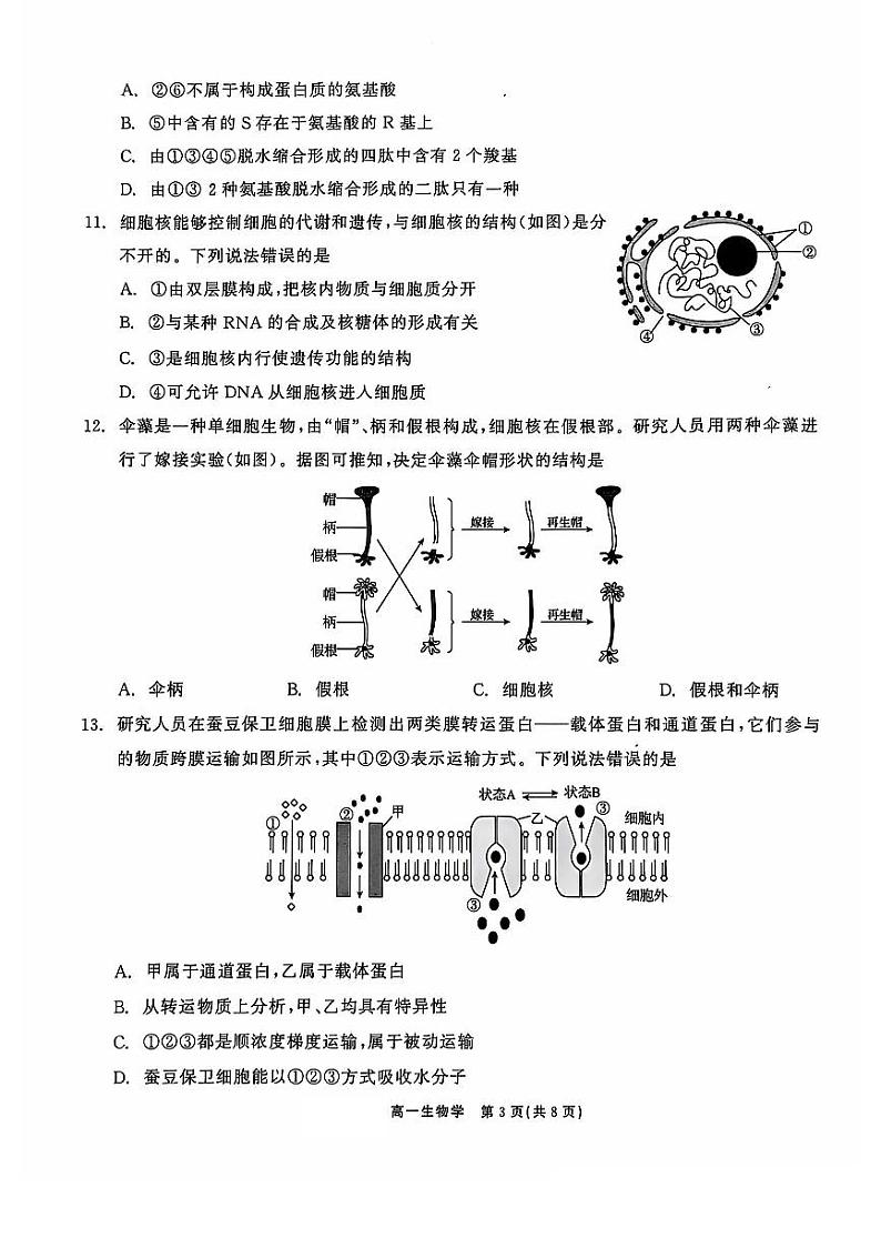 辽宁省普通高中2024-2025学年高一上学期11月期中考试生物试题03