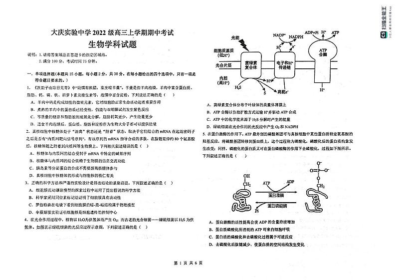 黑龙江省大庆市实验中学实验二部2024-2025学年高三上学期期中考试生物试卷第1页