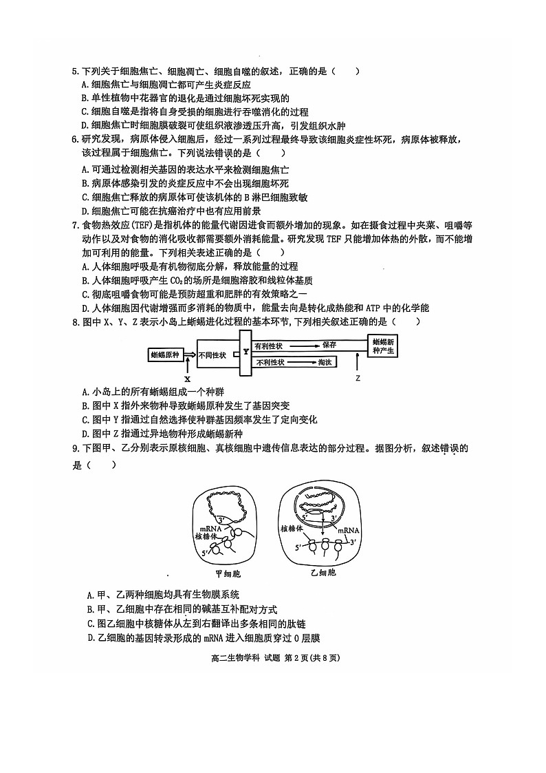 2024学年第一学期衢州五校联盟期中联考 高二生物试卷第2页
