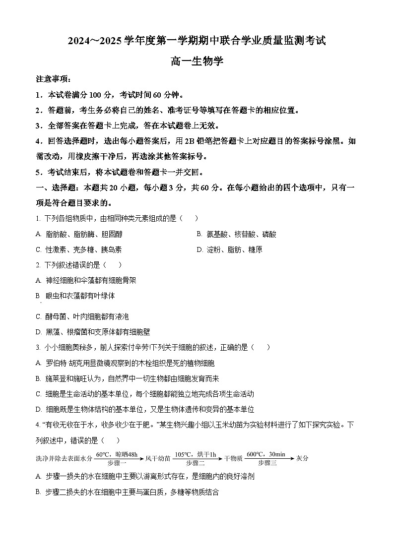 广东省东莞市两校2024-2025学年高一上学期期中联合考试生物试题  Word版无答案第1页