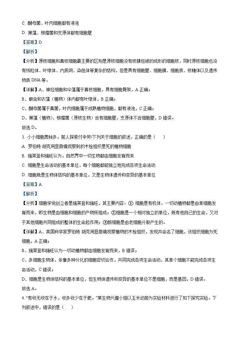 广东省东莞市两校2024-2025学年高一上学期期中联合考试生物试题  Word版含解析第2页