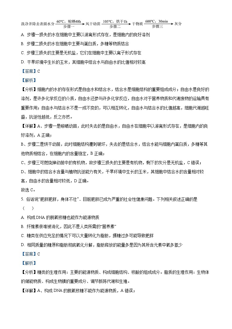 广东省东莞市两校2024-2025学年高一上学期期中联合考试生物试题  Word版含解析第3页