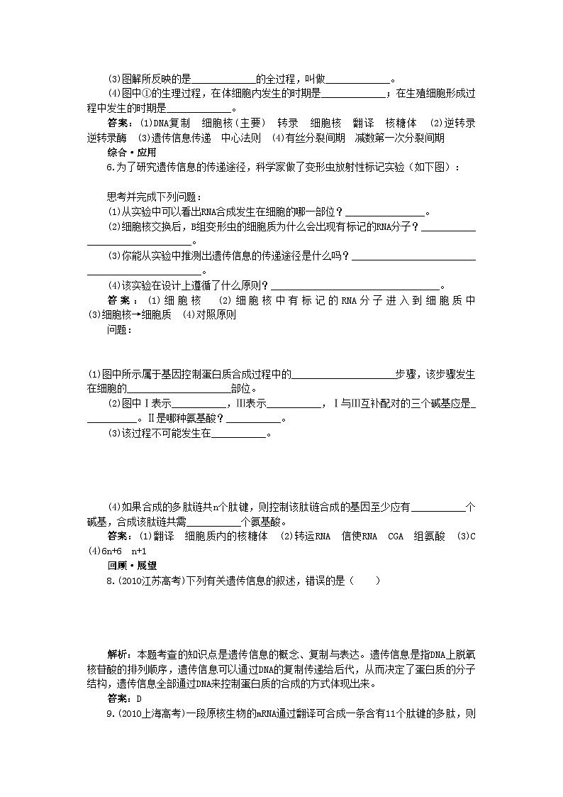 2022年高中生物基因对性状的控制基础达标测试新人教版必修2第2页