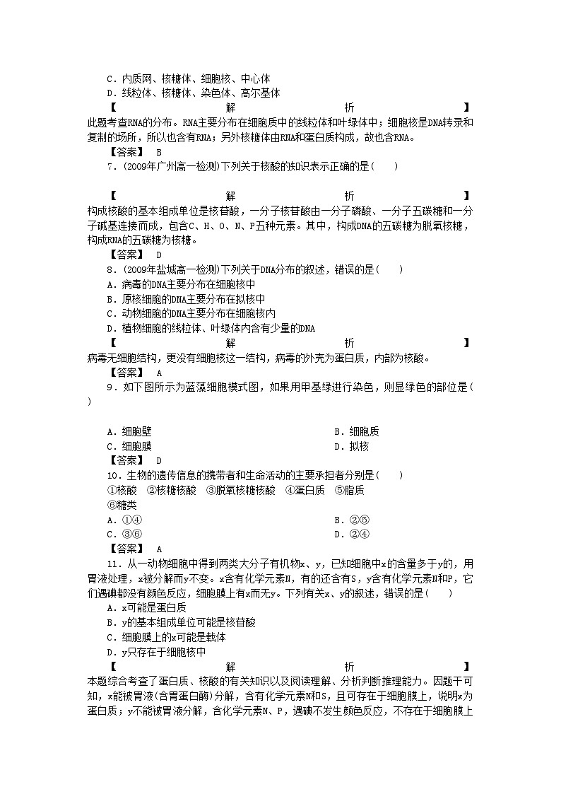 2022年金版高中生物第二单元第二章 细胞中的核酸测试卷中图版必修1第2页