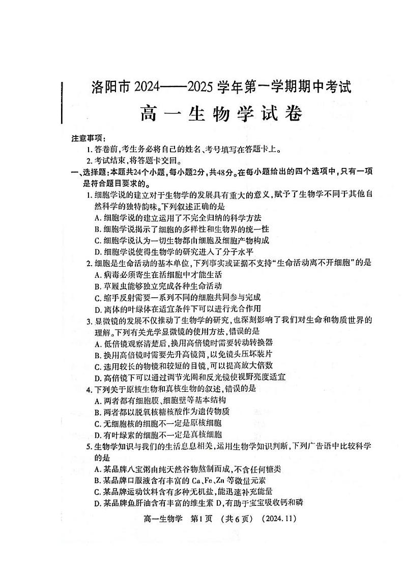 河南省洛阳市2024-2025学年高一上学期期中考试生物试卷第1页