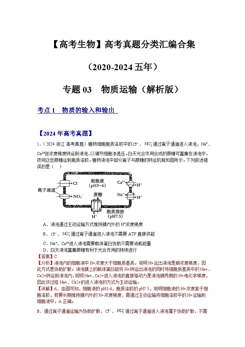 【高考生物】  高考真题分类汇编合集(2020-2024五年)专题03  物质运输01