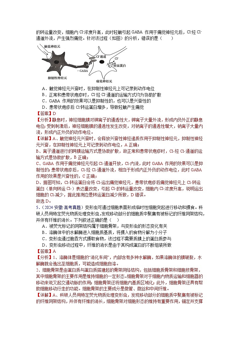 【高考生物】  高考真题分类汇编合集(2020-2024五年)专题03  物质运输03