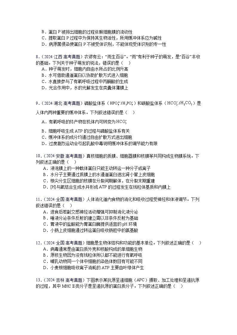 【高考生物】  高考真题分类汇编合集(2020-2024五年)专题03  物质运输03