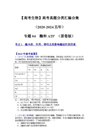 【高考生物】  高考真题分类汇编合集（2020-2024五年）专题04  酶和ATP