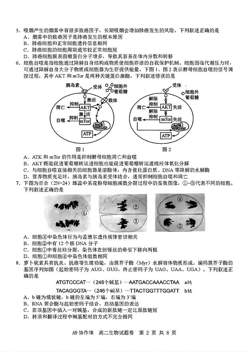 高二生物试题第2页