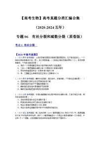 【高考生物】 高考真题分类汇编合集（2020-2024五年）专题06 有丝分裂和减数分裂