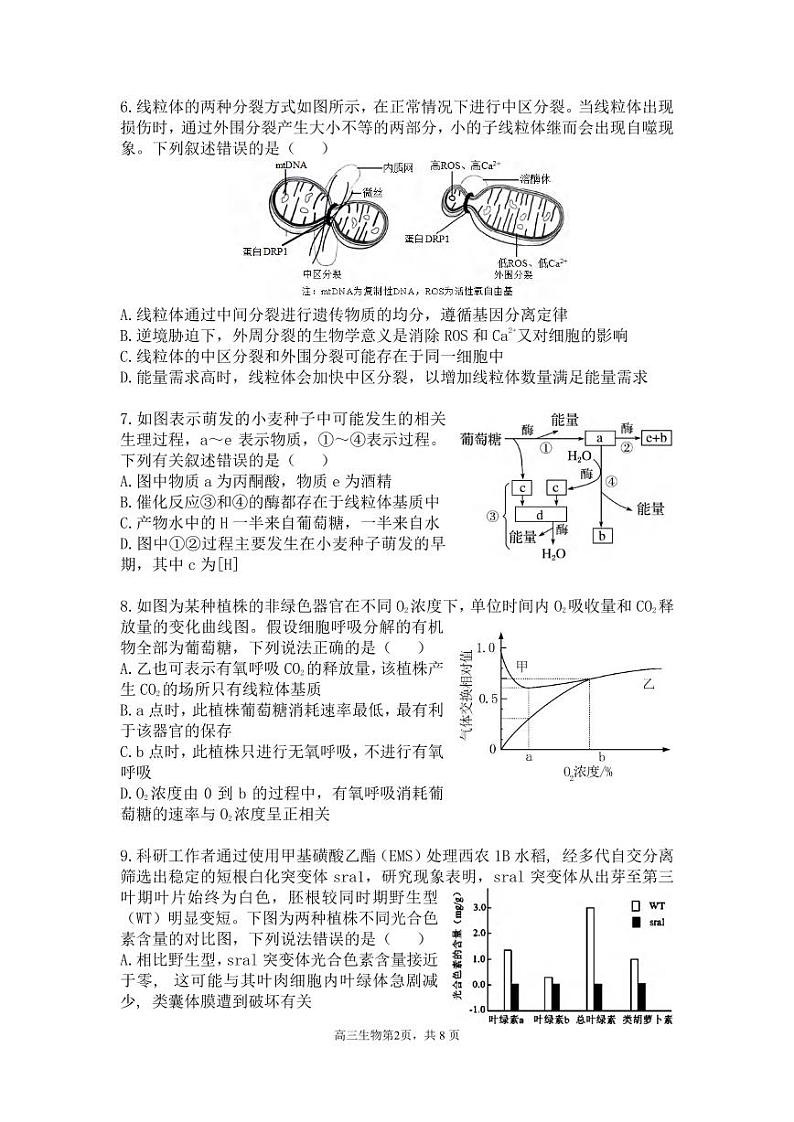生物丨安徽省合肥市第一中学2025届高三上学期11月教学质量检测暨11月月考生物试卷及答案第2页