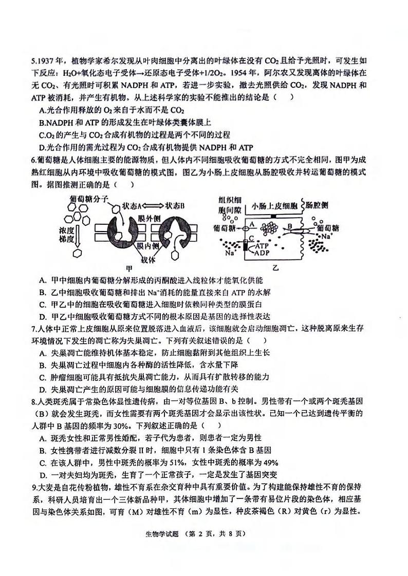 生物丨陕西省西安市(高新第一中学、安康市高新中学、宝鸡中学)2022级2025届高三上学期11月联考生物试卷及答案第2页