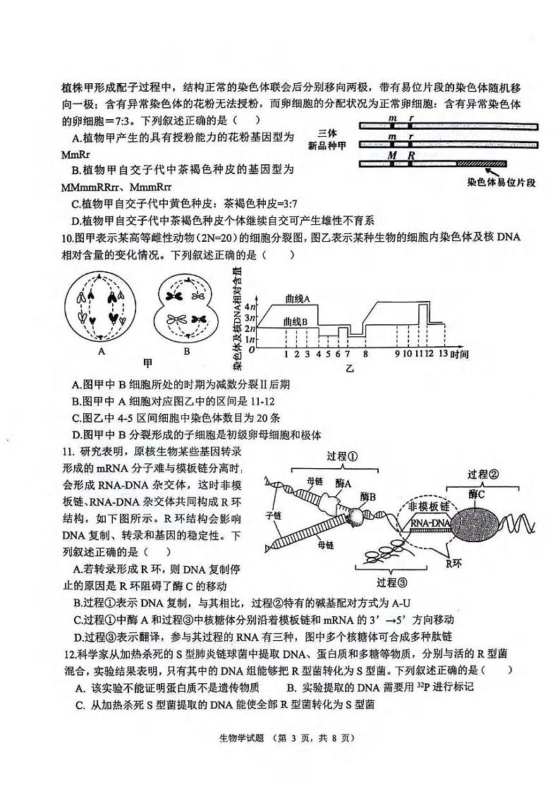 生物丨陕西省西安市(高新第一中学、安康市高新中学、宝鸡中学)2022级2025届高三上学期11月联考生物试卷及答案第3页