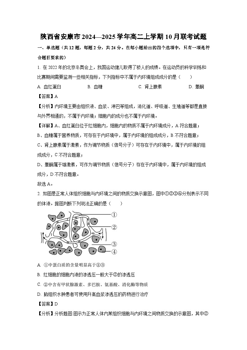 陕西省安康市2024—2025学年高二上学期10月联考生物试卷(解析版)01