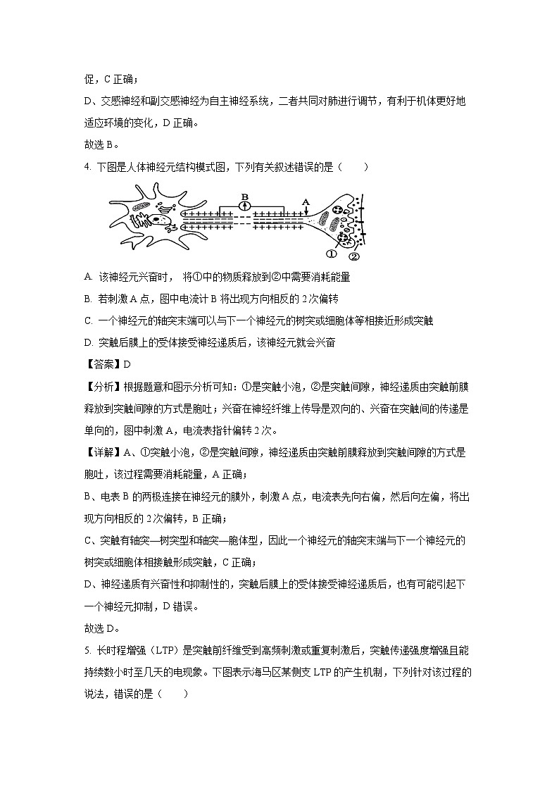 陕西省安康市2024—2025学年高二上学期10月联考生物试卷(解析版)03