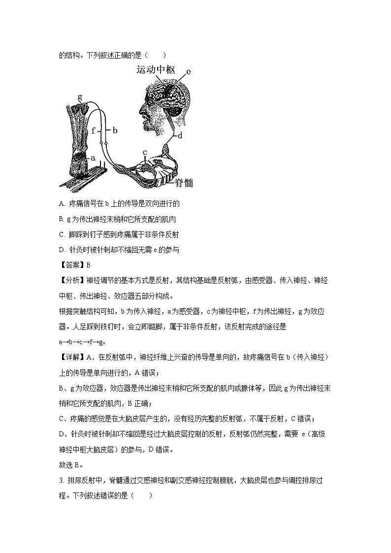 河南省豫北名校期中联考2024-2025学年高二上学期11月期中生物试卷(解析版)第2页