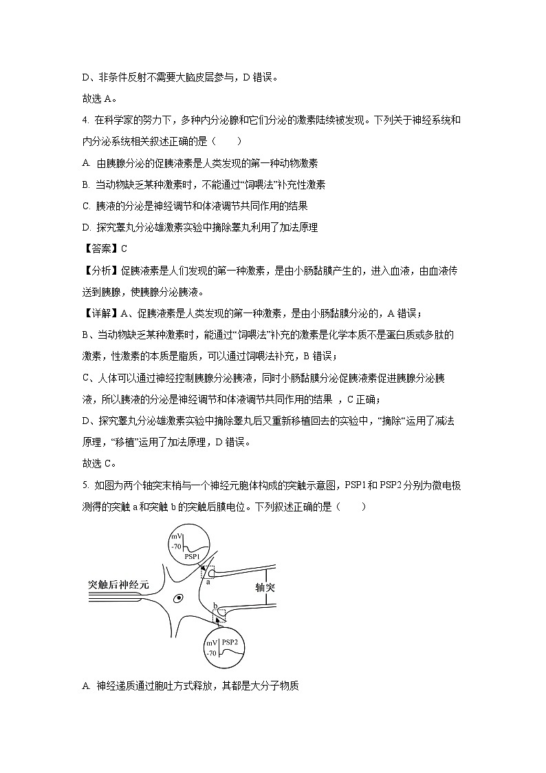 江苏省连云港市赣榆区2024-2025学年高二上学期11月期中生物试卷(解析版)第3页