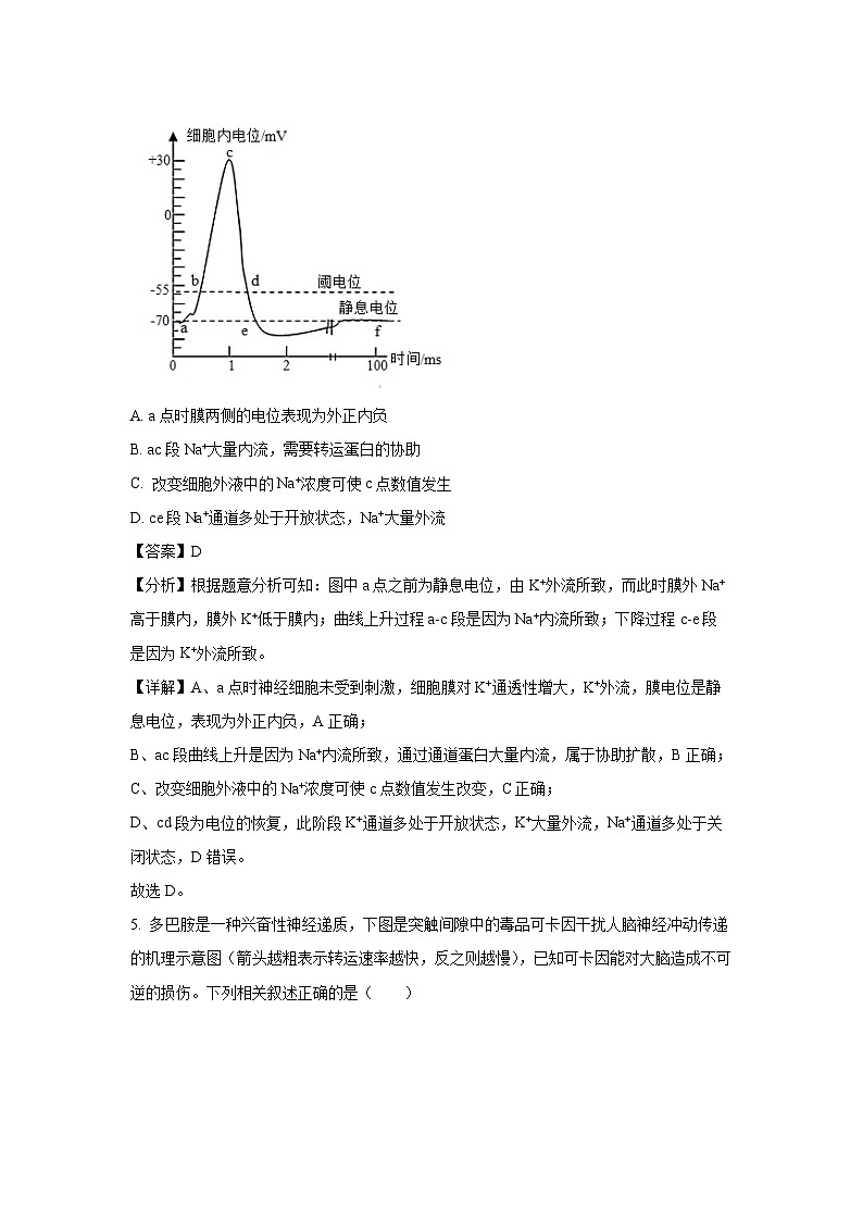 江苏省江阴长泾中学、洛社高中2024-2025学年高二上学期10月检测题生物试卷(解析版)第3页