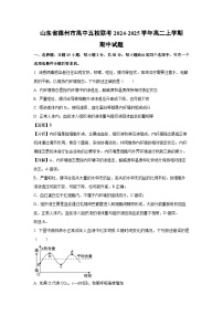 山東省德州市高中五校聯(lián)考2024-2025學(xué)年高二上學(xué)期期中生物試卷（解析版）