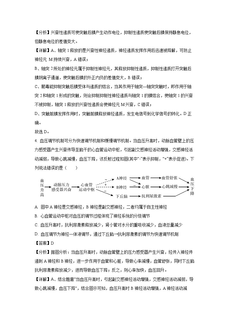 山东省德州市高中五校联考2024-2025学年高二上学期期中生物试卷(解析版)第3页
