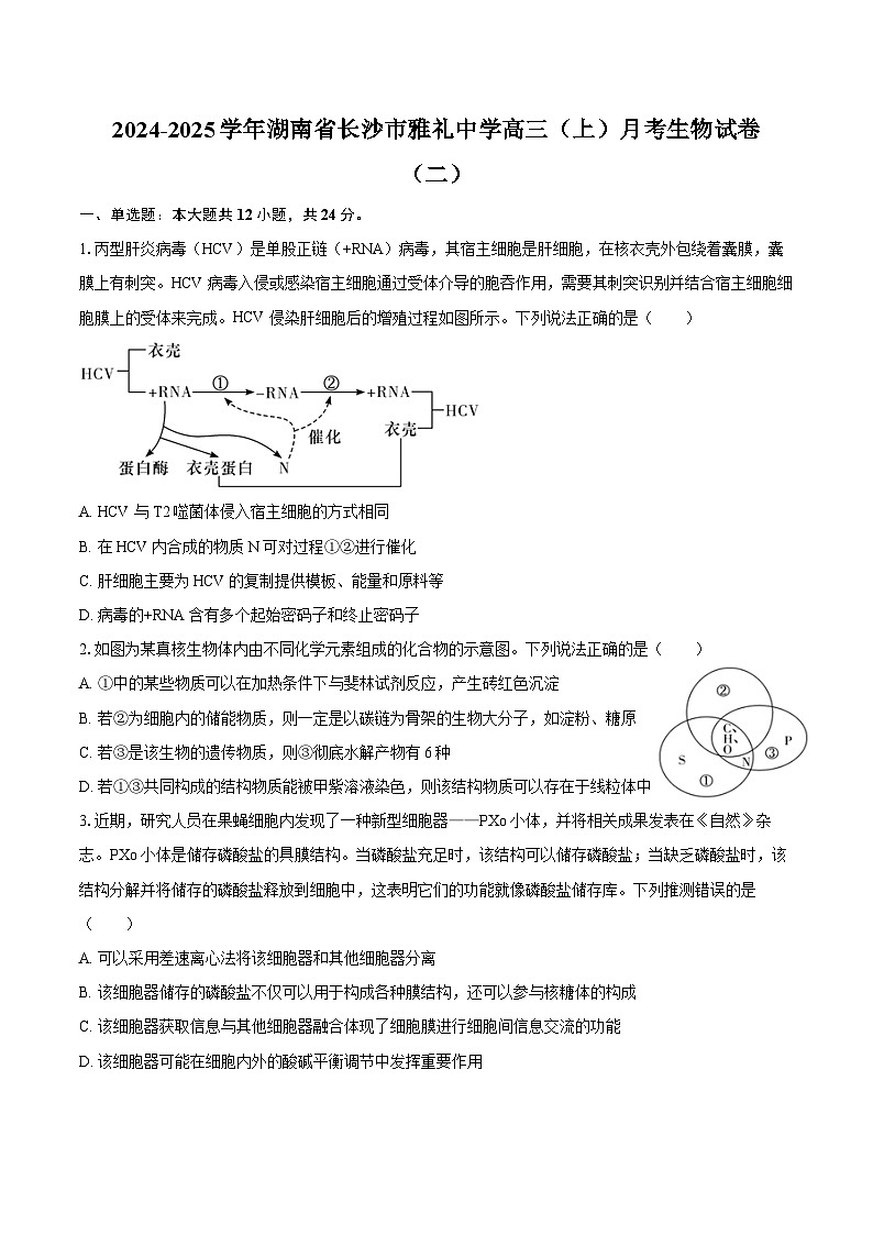 2024-2025学年湖南省长沙市雅礼中学高三(上)月考生物学试卷(二)(含答案)第1页