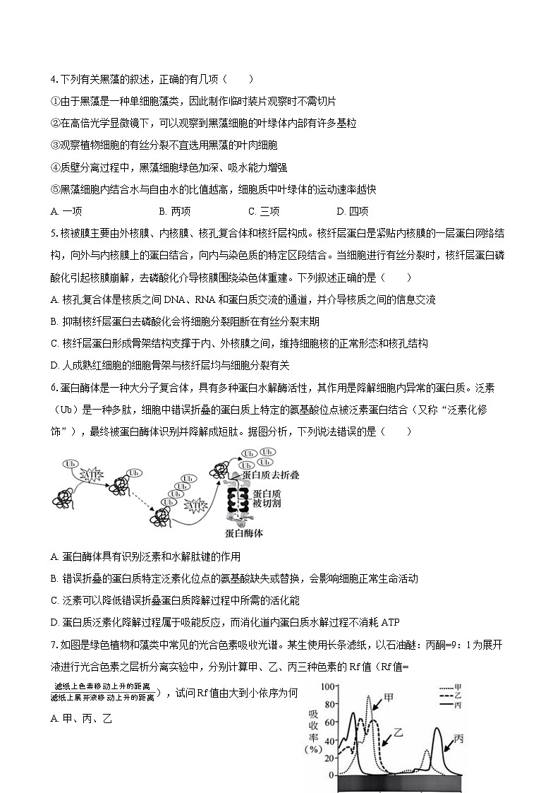 2024-2025学年湖南省长沙市雅礼中学高三(上)月考生物学试卷(二)(含答案)第2页