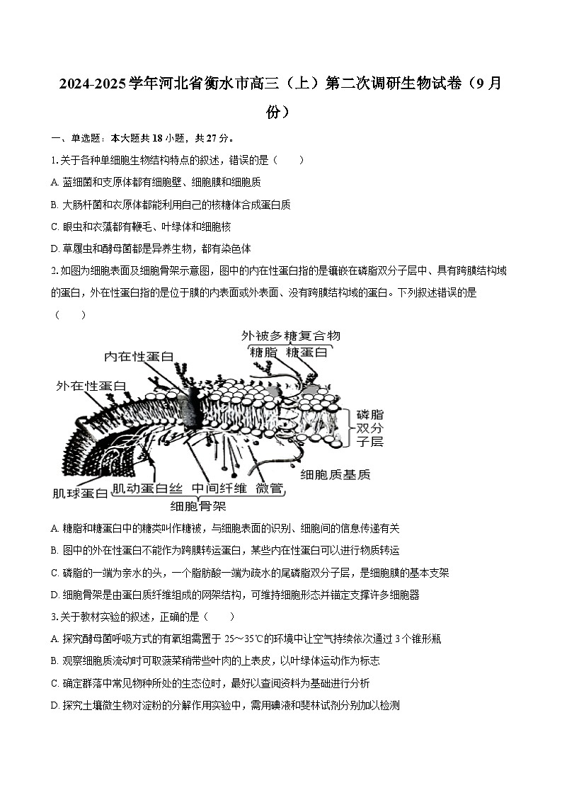2024-2025学年河北省衡水市高三(上)第二次调研生物学试卷(9月份)(含答案)第1页