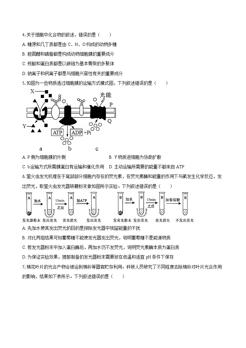 2024-2025学年河北省衡水市高三(上)第二次调研生物学试卷(9月份)(含答案)第2页