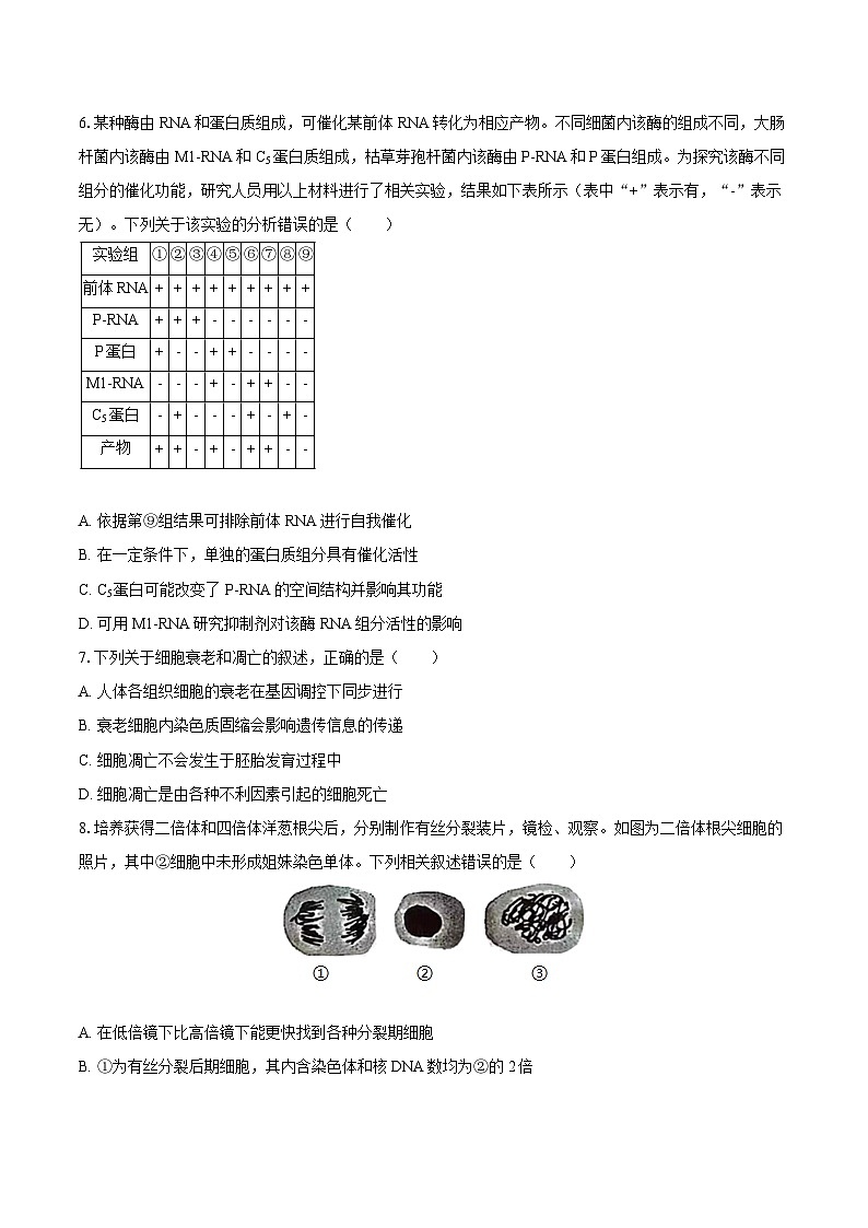 2024-2025学年黑龙江省大庆实验中学实验二部高三(上)月考生物试卷(10月份)(含答案)02
