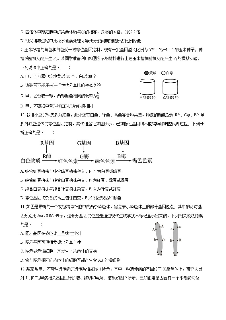 2024-2025学年黑龙江省大庆实验中学实验二部高三(上)月考生物试卷(10月份)(含答案)03