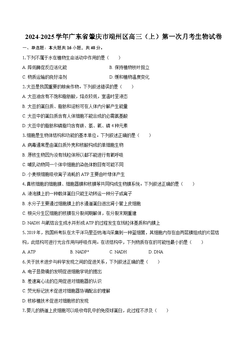 2024-2025学年广东省肇庆市端州区高三(上)第一次月考生物学试卷(含答案)第1页