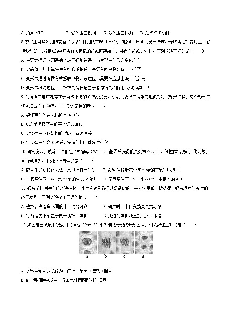 2024-2025学年广东省肇庆市端州区高三(上)第一次月考生物学试卷(含答案)第2页