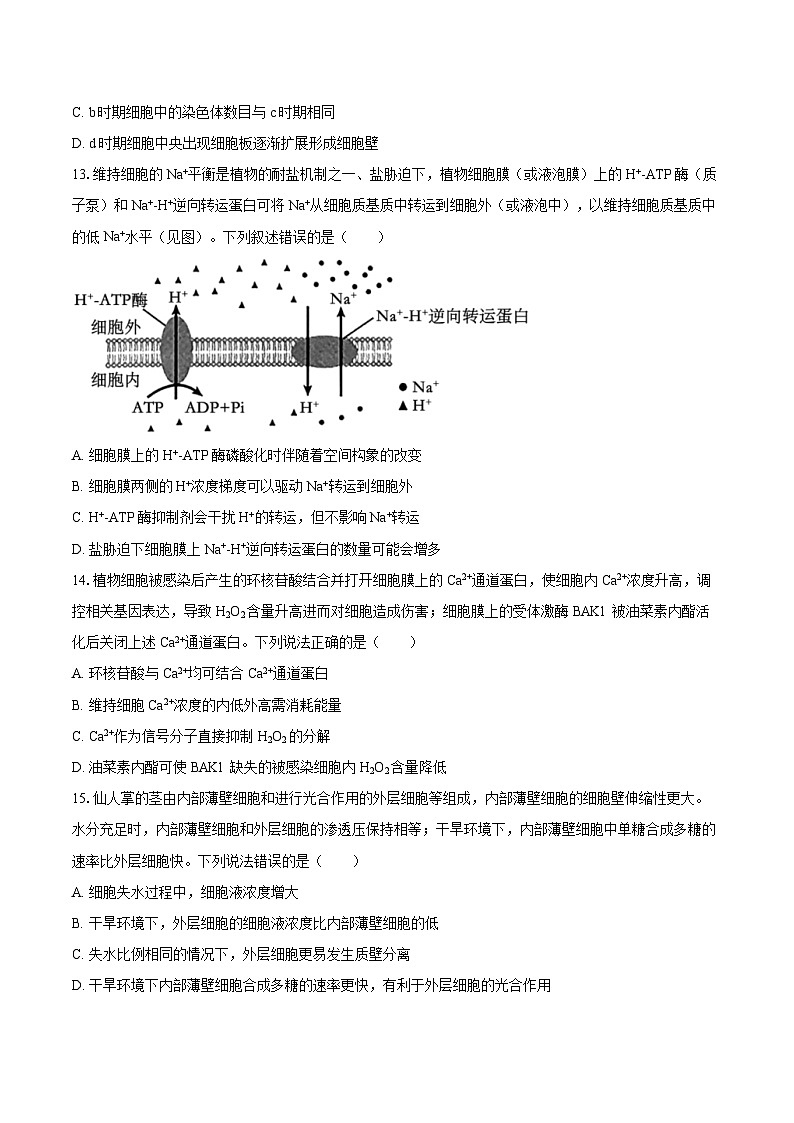 2024-2025学年广东省肇庆市端州区高三(上)第一次月考生物学试卷(含答案)第3页