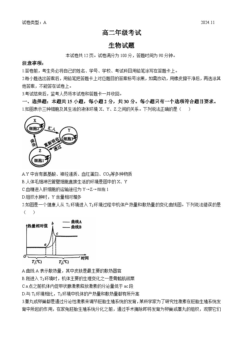 山东省泰安市2024-2025学年高二上学期11月期中生物试题(无答案)第1页