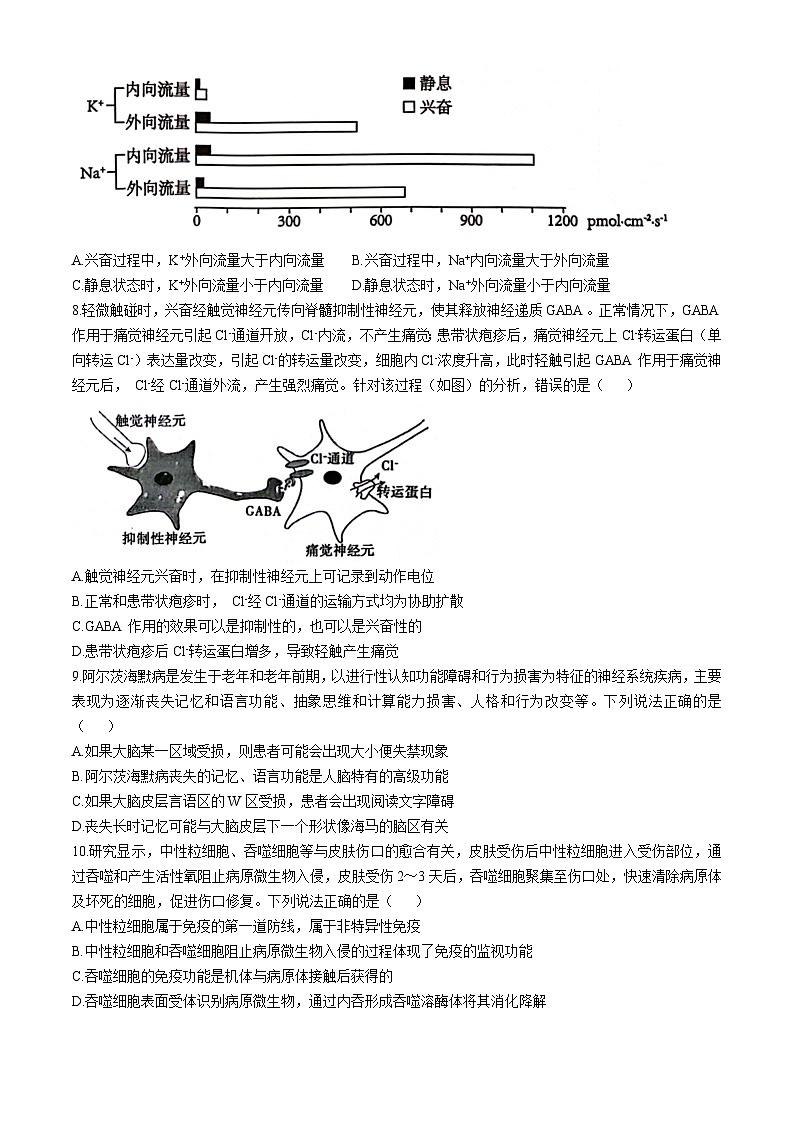 山东省泰安市2024-2025学年高二上学期11月期中生物试题(无答案)第3页