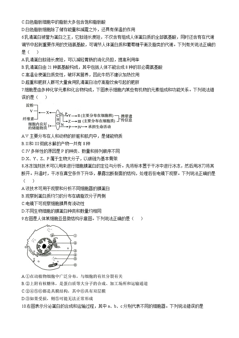 山东省菏泽市2024-2025学年高一上学期11月期中生物试题(无答案)02