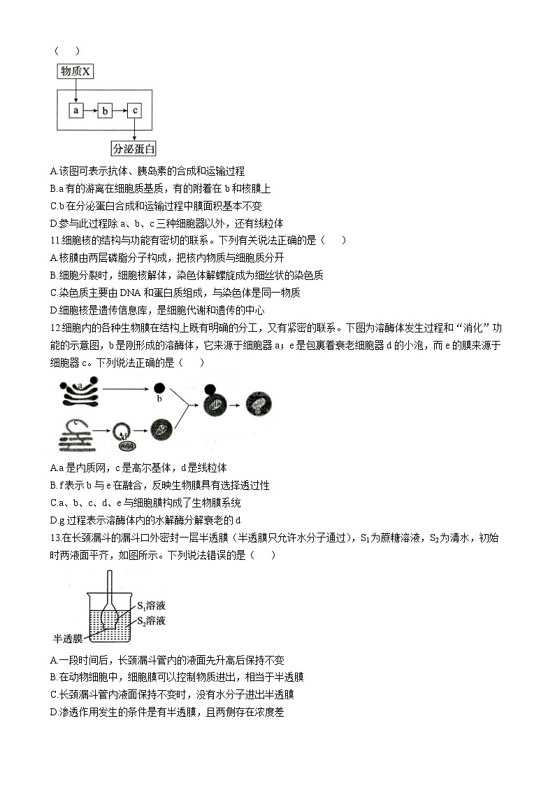 山东省菏泽市2024-2025学年高一上学期11月期中生物试题(无答案)03