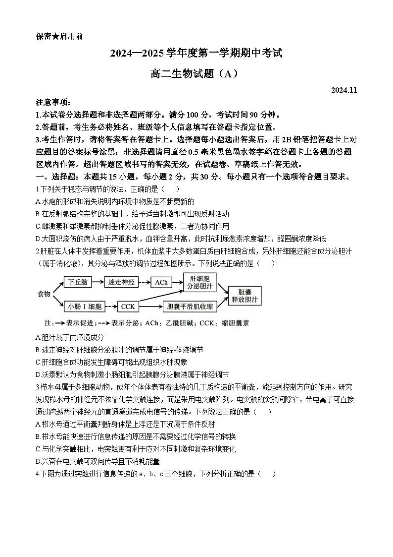 山东省菏泽市2024-2025学年高二上学期11月期中生物试题(无答案)第1页