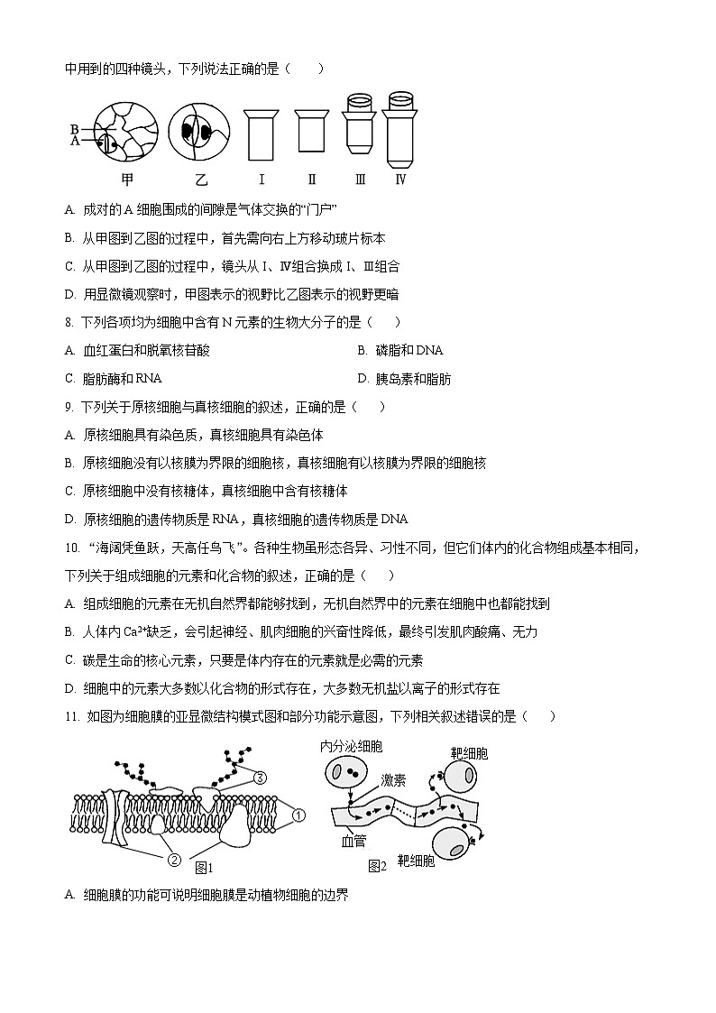 浙江省宁波中学2024—2025学年高一上学期期中考试生物试题 Word版无答案第2页