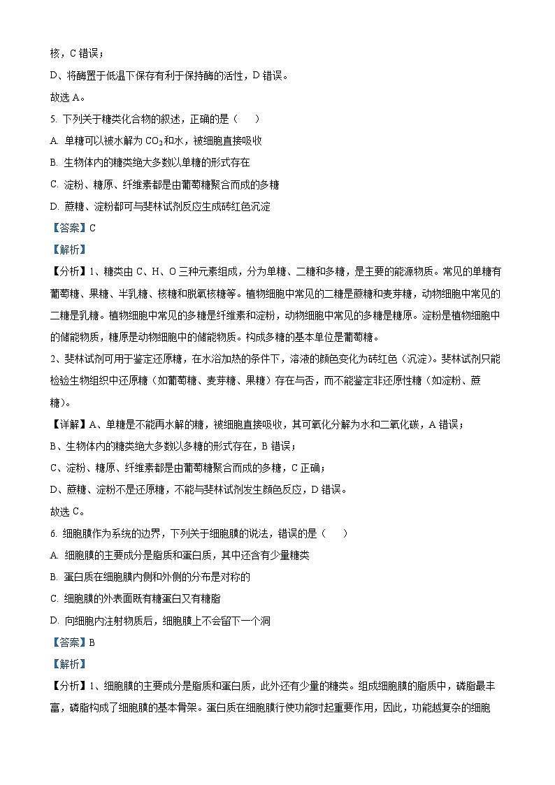 浙江省宁波中学2024—2025学年高一上学期期中考试生物试题 Word版含解析第3页