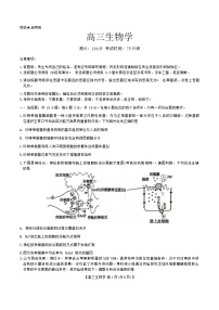 2025安徽省鼎尖教育联盟高三上学期11月期中联考生物试题含解析